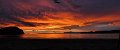 D (46) Sunset over Hawke Bay